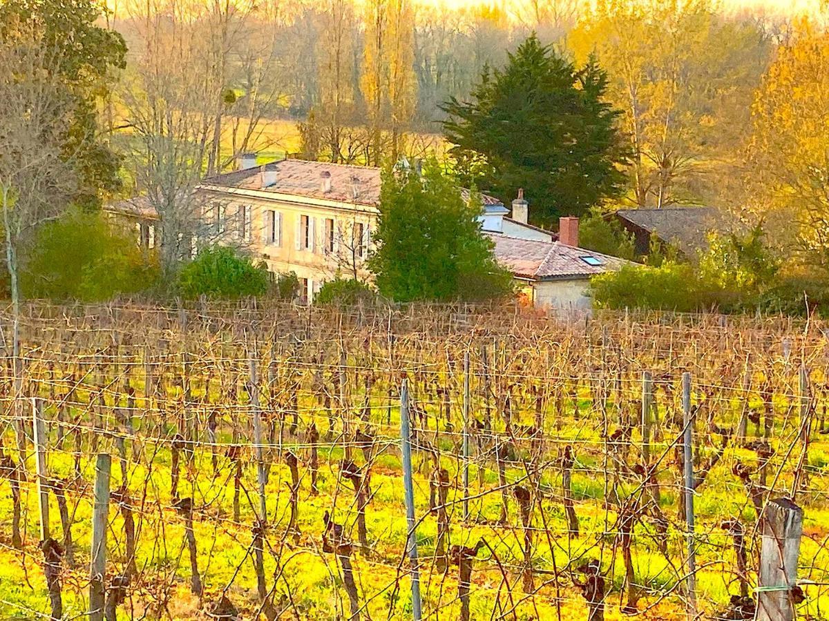Fabuleux - Domaine Du Moulin D'Andraut Bordeaux-Chevaux-Golf-St Emilion Vila Montussan Exterior foto