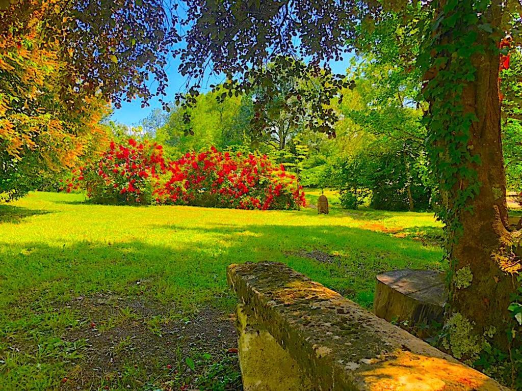 Fabuleux - Domaine Du Moulin D'Andraut Bordeaux-Chevaux-Golf-St Emilion Vila Montussan Exterior foto