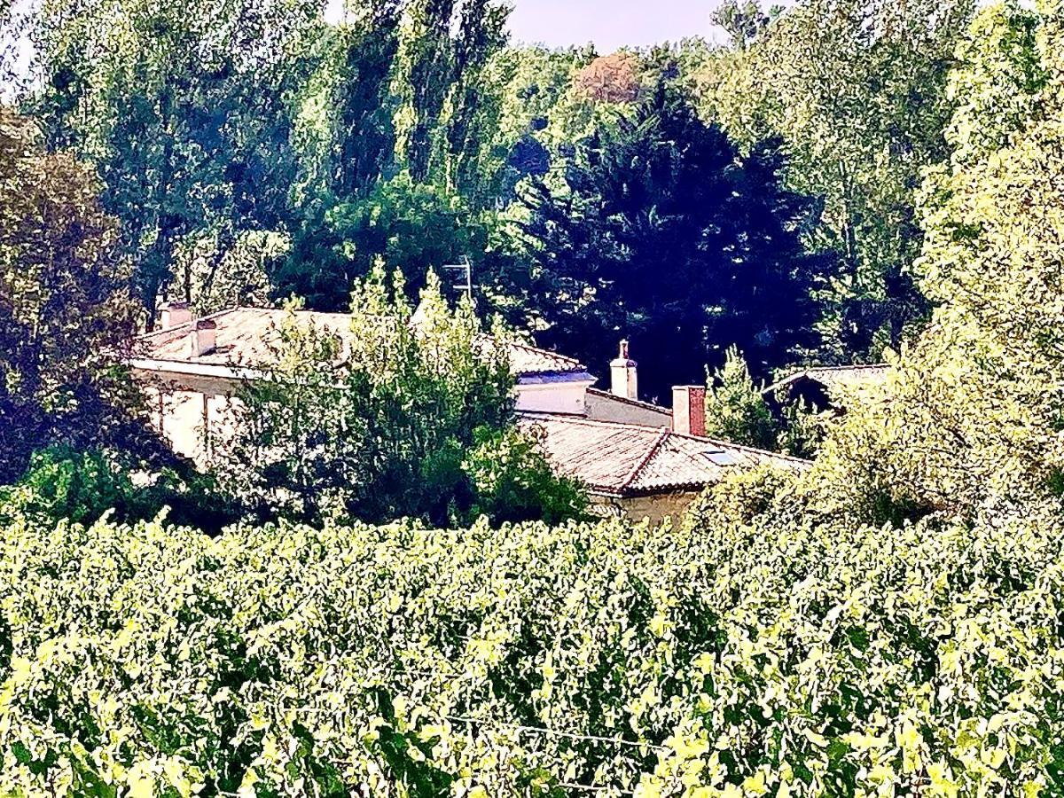 Fabuleux - Domaine Du Moulin D'Andraut Bordeaux-Chevaux-Golf-St Emilion Vila Montussan Exterior foto