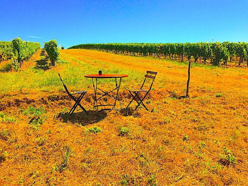 Fabuleux - Domaine Du Moulin D'Andraut Bordeaux-Chevaux-Golf-St Emilion Vila Montussan Exterior foto